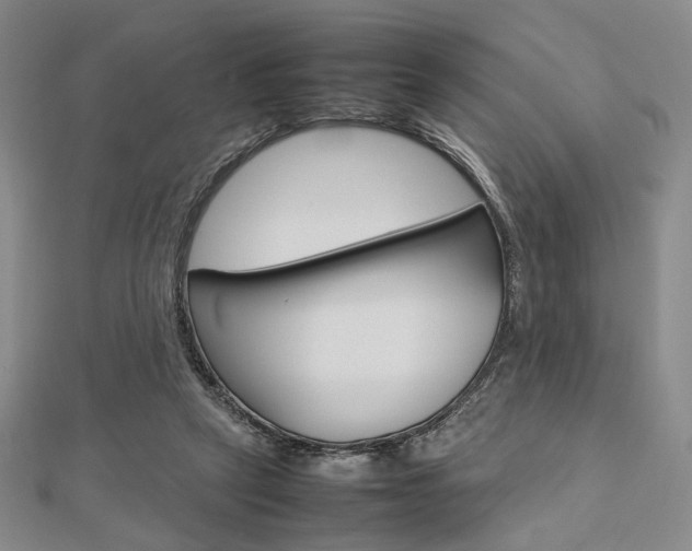 X0000112810257200908210944