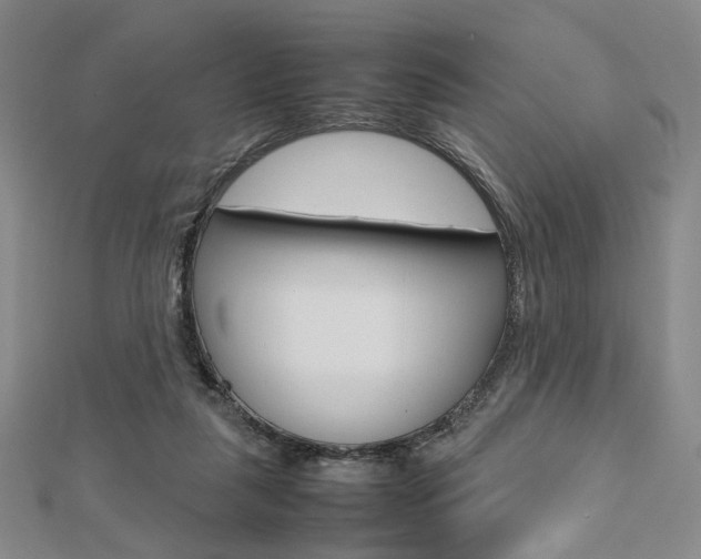 X0000112810259200908210945