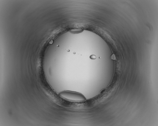 X0000112810260200908210945