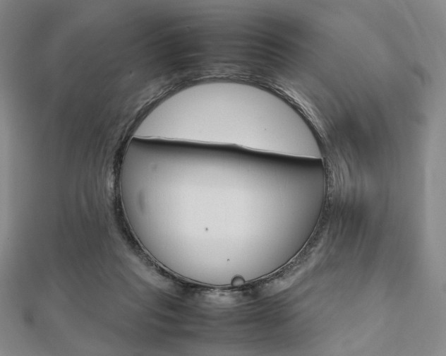 X0000112810261200908210945