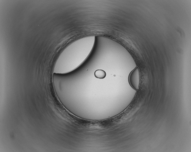 X0000112810262200908210945