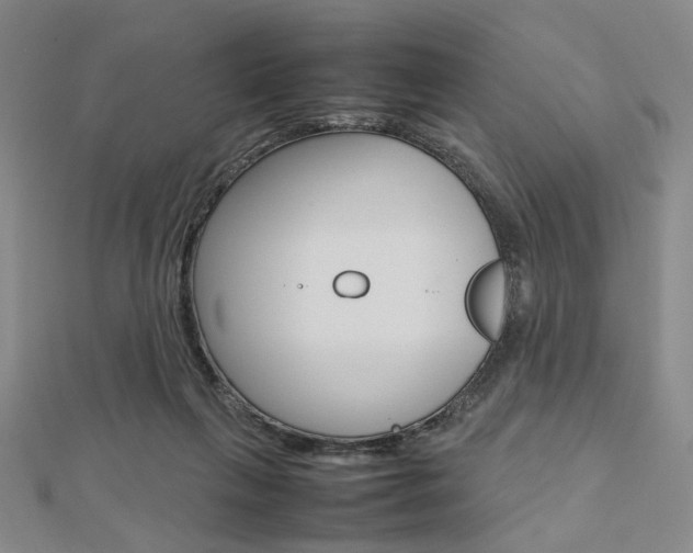 X0000112810263200908210945