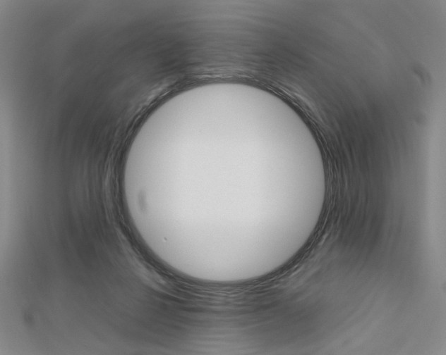 X0000112810264200908210945