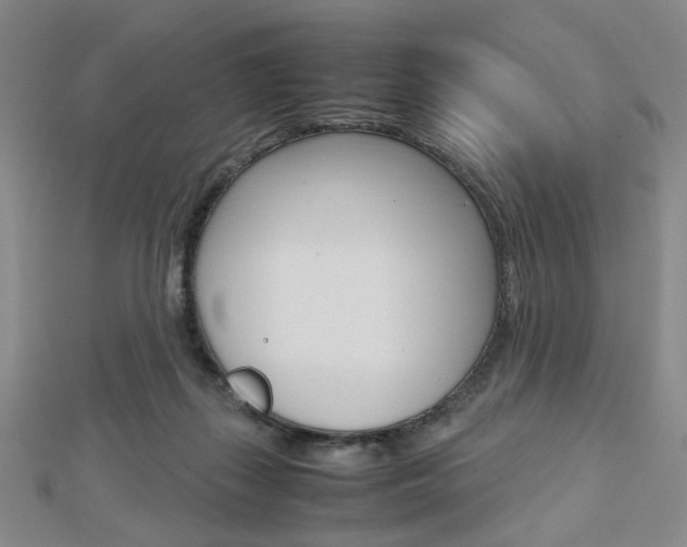 X0000112810267200908210945