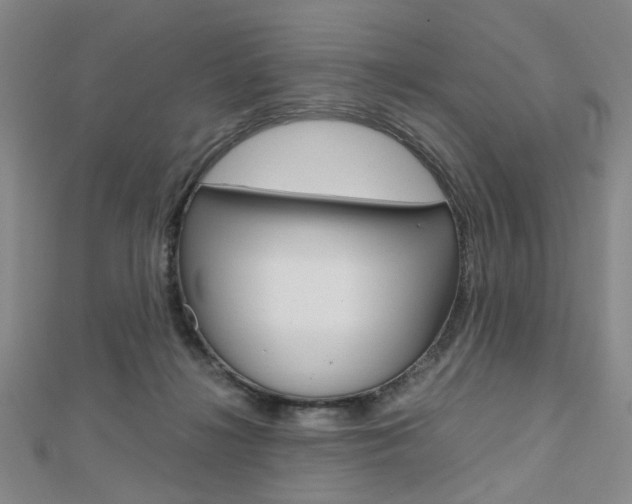 X0000112810268200908210945