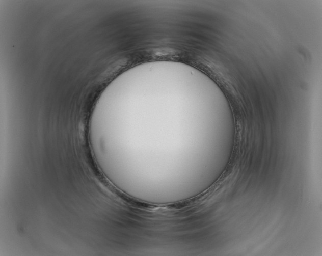 X0000112810269200908210945