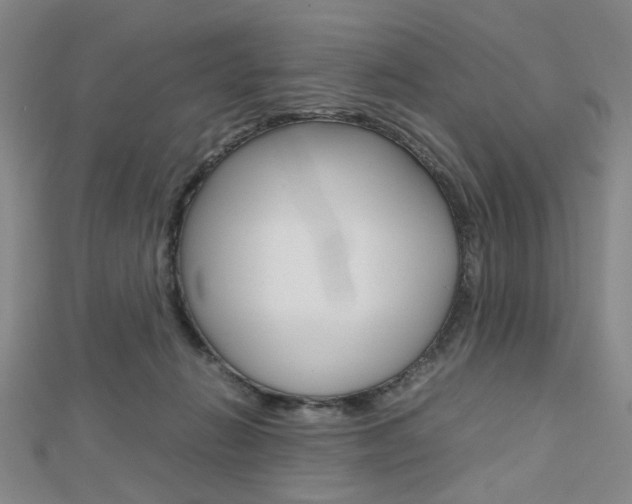 X0000112810270200908210945