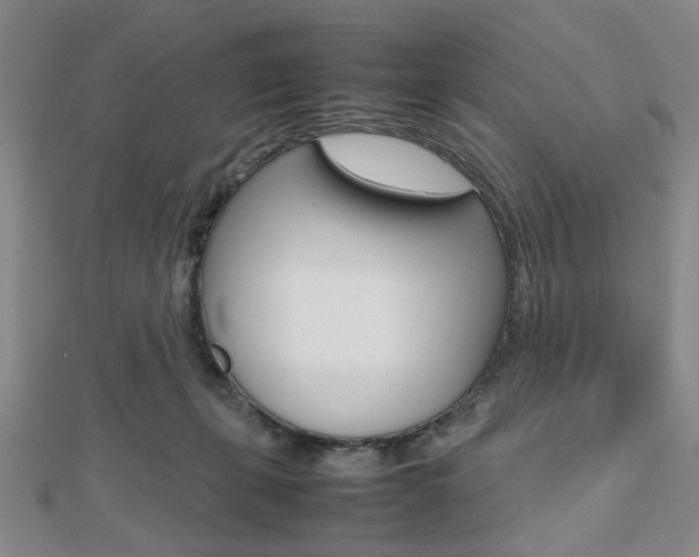 X0000112810271200908210945