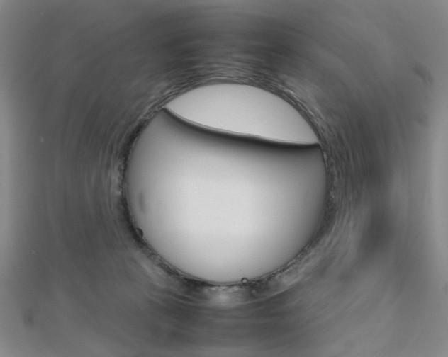 X0000112810273200908210945