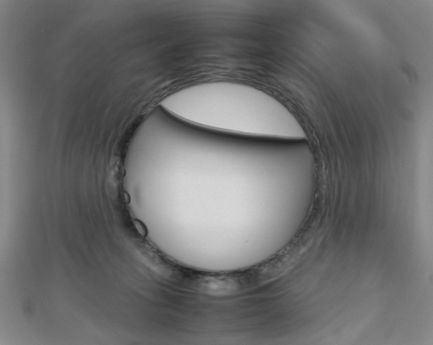 X0000112810275200908210945