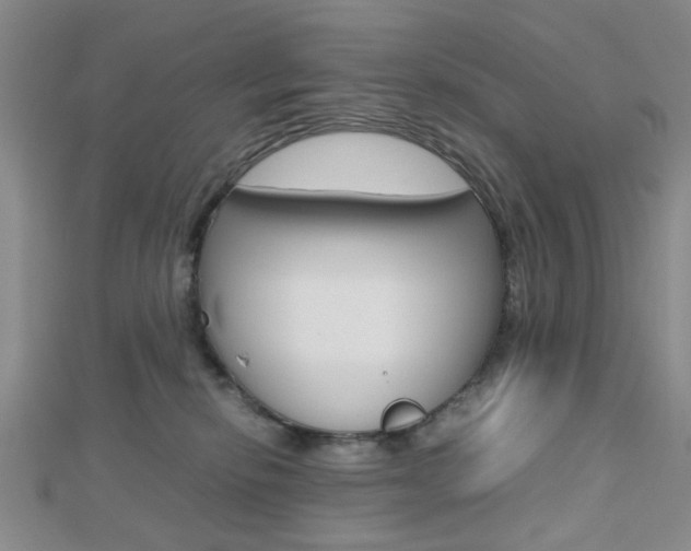 X0000112810278200908210945