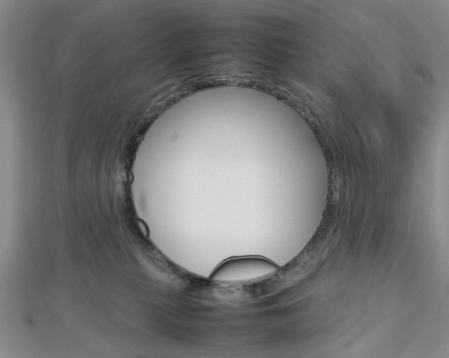 X0000112810279200908210945