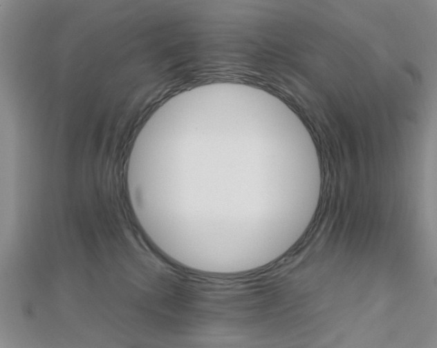 X0000112810280200908210945