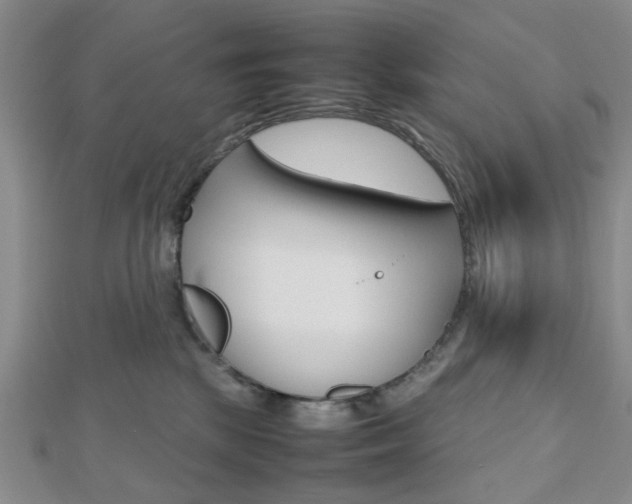 X0000112810281200908210945