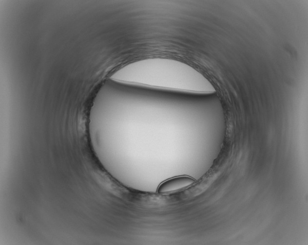 X0000112810282200908210945