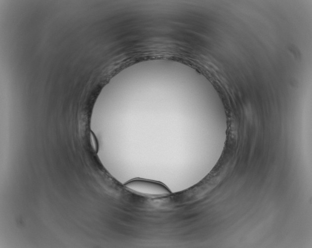 X0000112810283200908210945