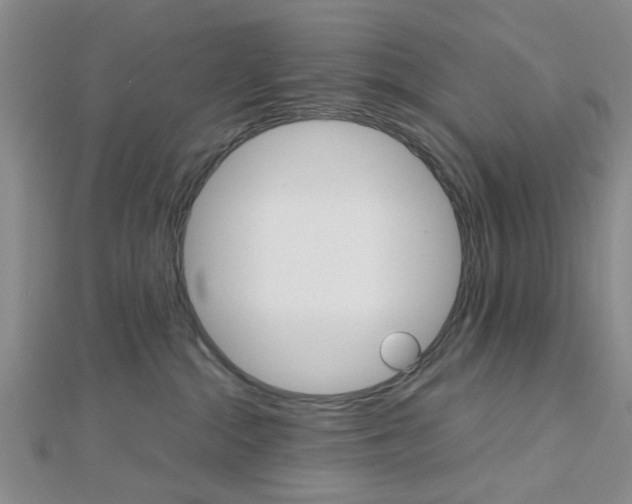 X0000112810284200908210945