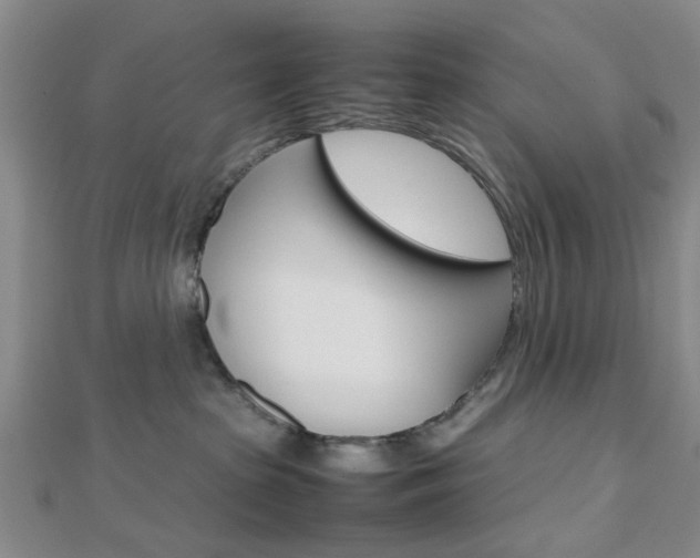 X0000112810285200908210945