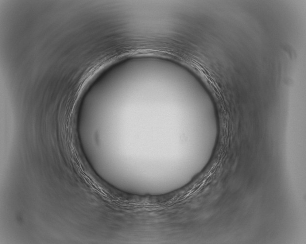 X0000112810289200908210944