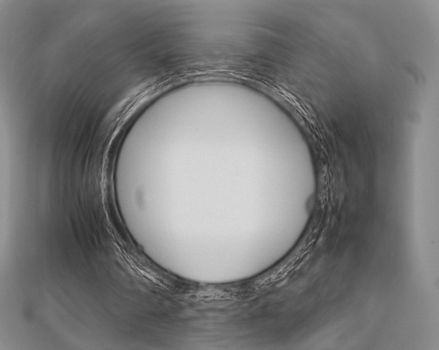 X0000112810290200908210944