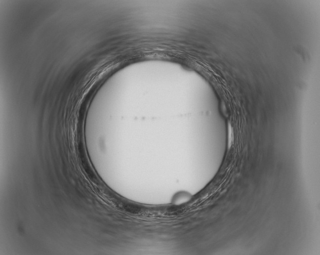 X0000112810291200908210944
