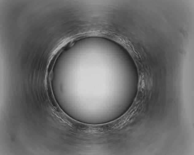 X0000112810292200908210944