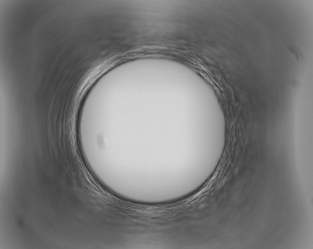 X0000112810293200908210944