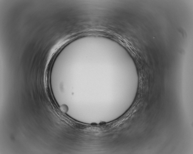 X0000112810294200908210944