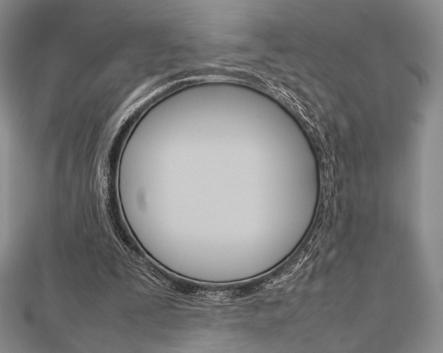 X0000112810295200908210944