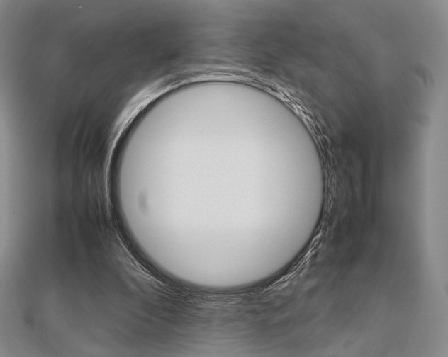 X0000112810296200908210944