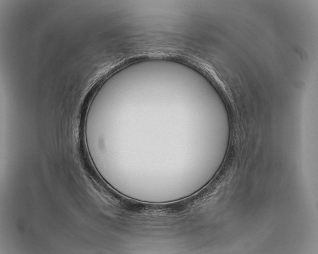 X0000112810299200908210944