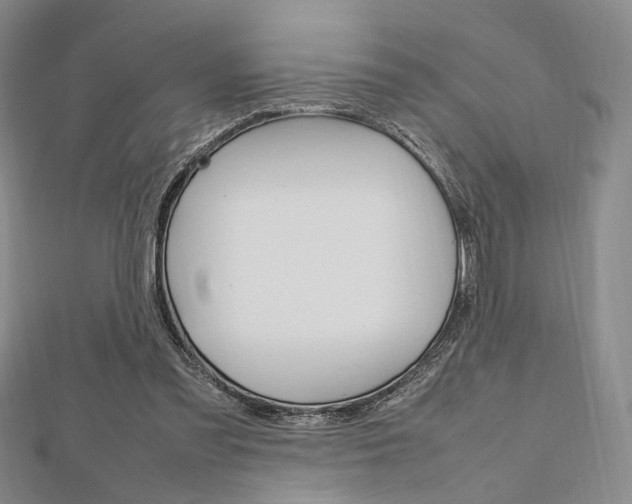 X0000112810301200908210944