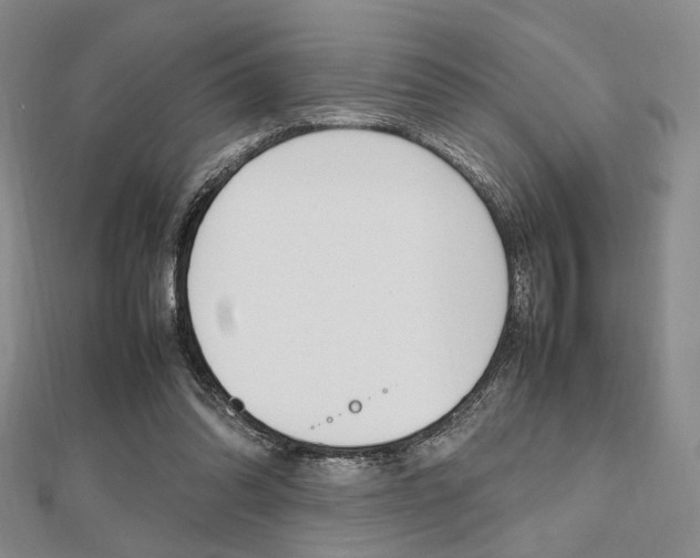 X0000112810302200908210944