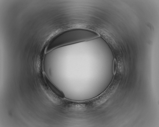 X0000112810304200908210944
