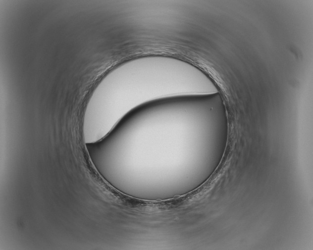 X0000112810305200908210944
