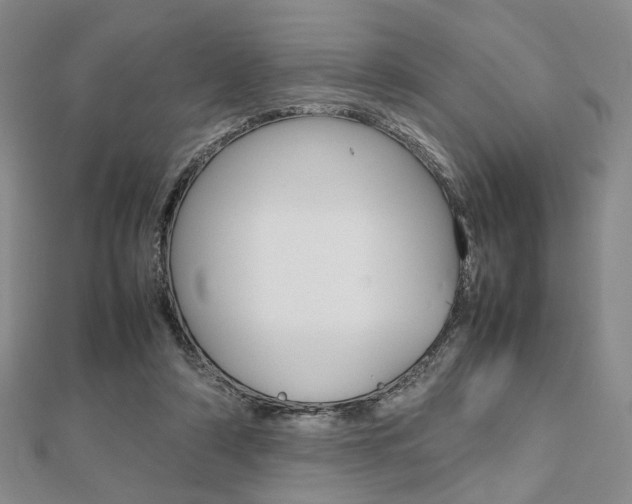 X0000112810306200908210944