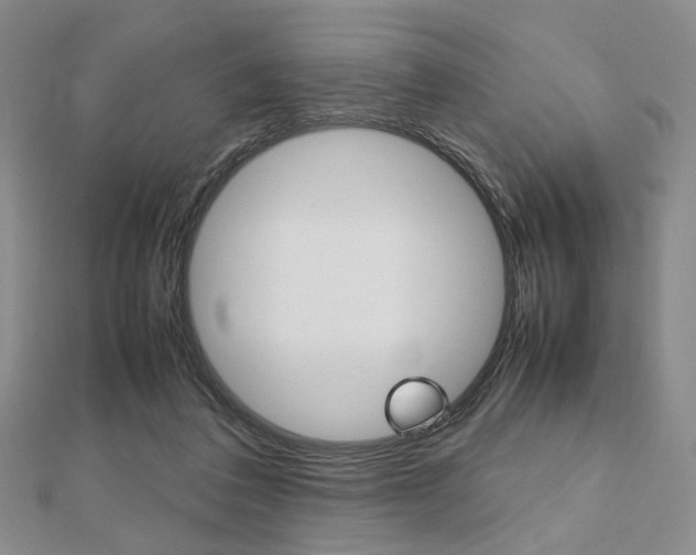 X0000112810308200908210944