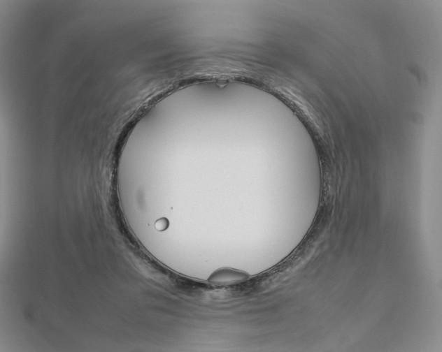 X0000112810309200908210944