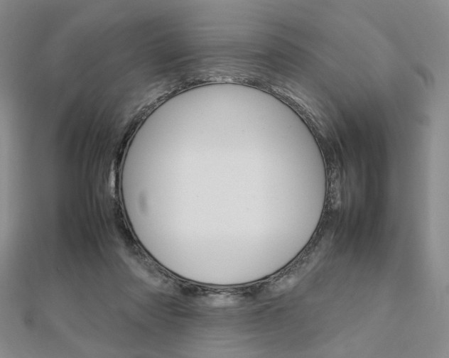 X0000112810310200908210944