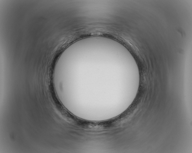 X0000112810311200908210944
