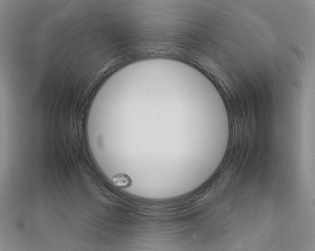X0000112810312200908210944