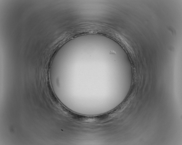X0000112810313200908210944