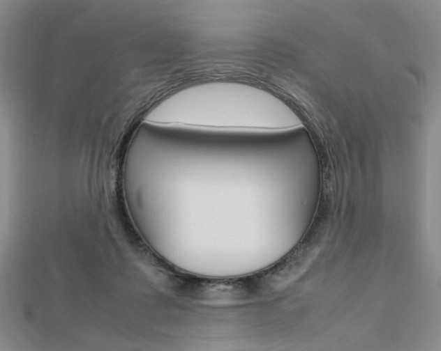 X0000112810315200908210944
