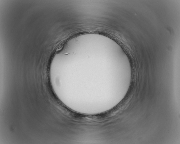 X0000112810317200908210944