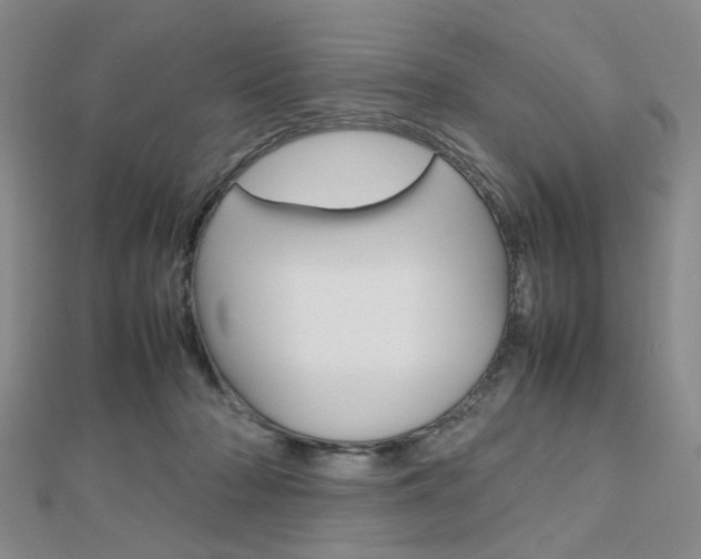 X0000112810318200908210944