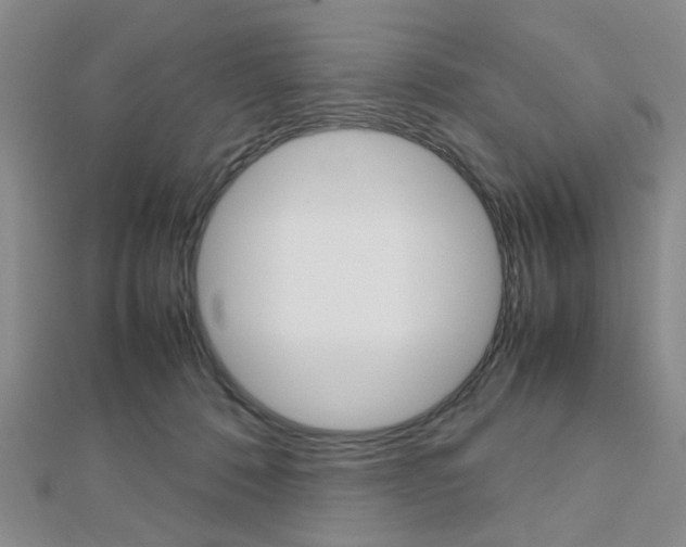 X0000112810320200908210944