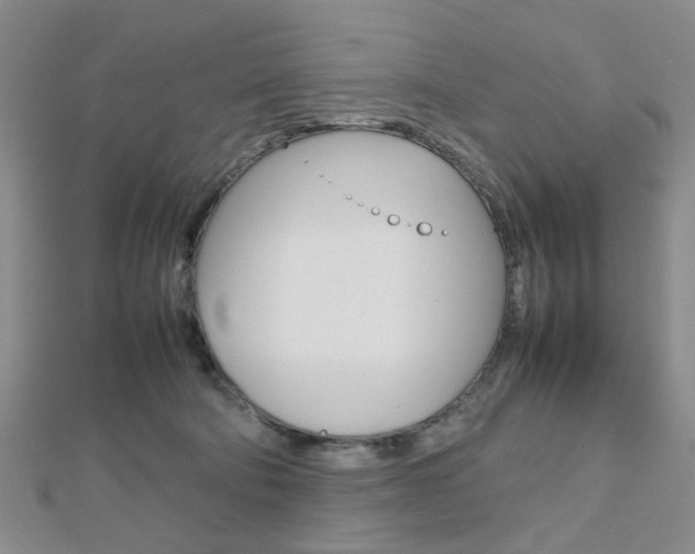 X0000112810322200908210944
