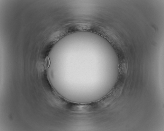 X0000112810323200908210944