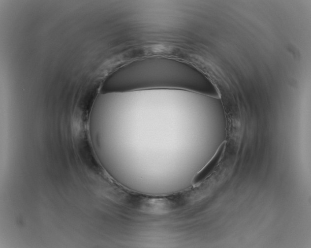 X0000112810324200908210944