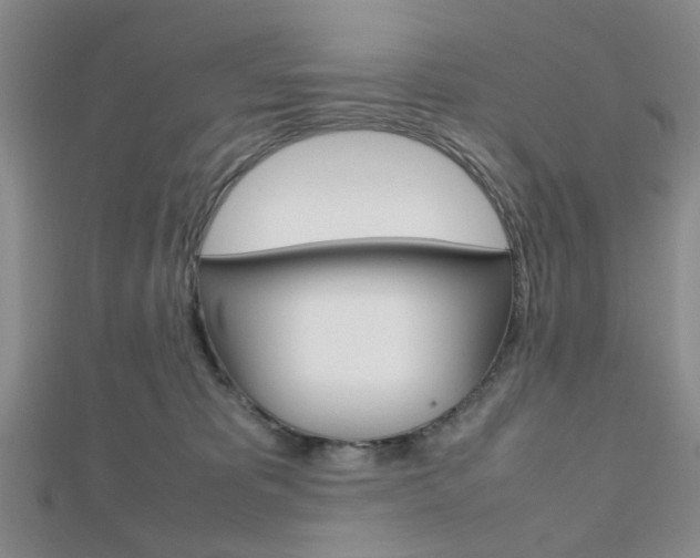 X0000112810325200908210944